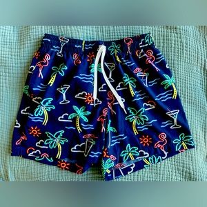 EXCELLENT Classic Swim Trunk  The Neon Lights 5.5 CHUBBIES